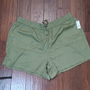 NWT Dip Sage/Olive Green Pullon Shorts size 3X